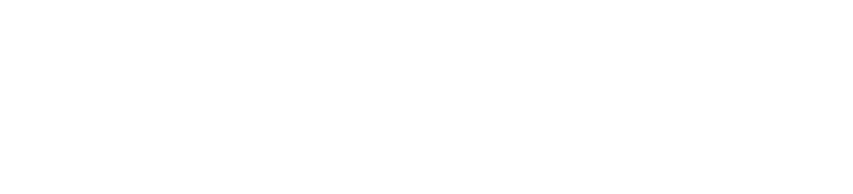 DOSARAF MULTTIBIZ KONCEP LTD